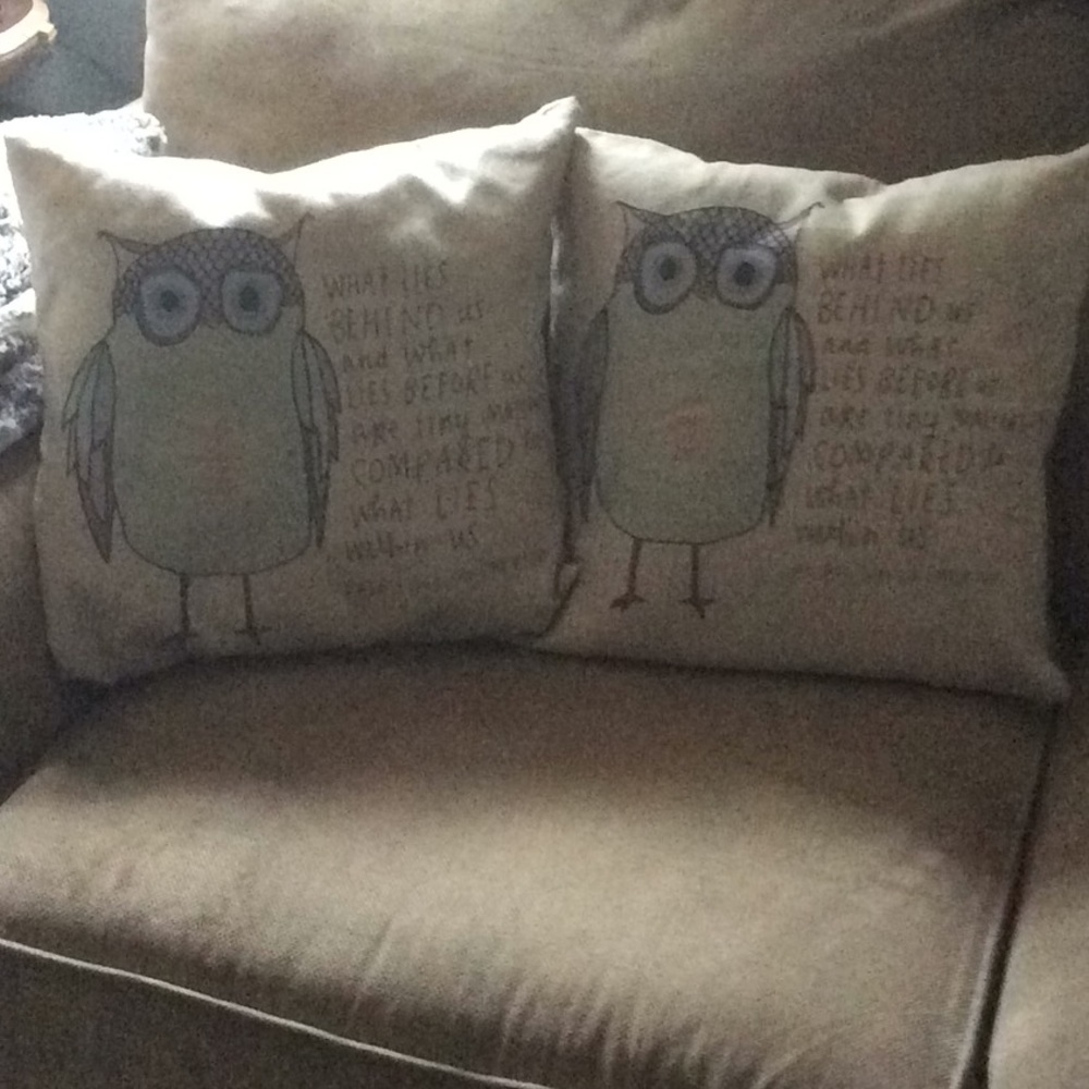 Owl throw pillows